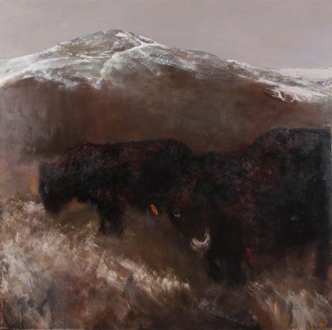 Winter Cattle, bridget macdonald, 